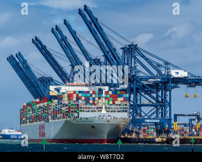 OOCL United Kingdom Vessel dockte am Felixstowe Port an, um Container zu laden und zu entladen. OOCL ist eine in Hongkong ansässige Schiffahrtsgesellschaft. Stockfoto