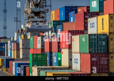 Rail Freight UK - intermodale Container werden in Güterzügen im Felixstowe Port, dem größten Containerhafen Großbritanniens, verladen. Stockfoto