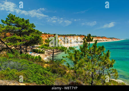 Praia da Falésia in der Nähe von Albufeira, Algarve Stockfoto