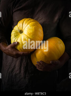 Frische reife Kürbis in den Händen eines Mannes Männer dunklen Hintergrund. Herbst Ernte Konzept. Selektive konzentrieren. Vertikale Rahmen. Stockfoto