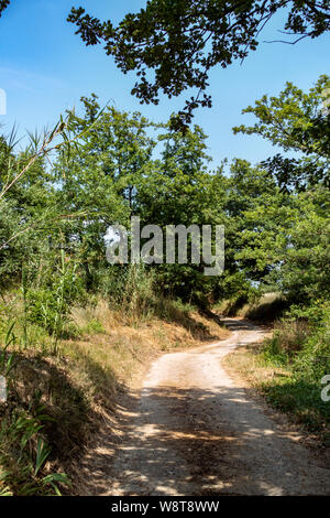 Schmalen Feldweg durch die Weinberge im Süden Frankreichs Stockfoto