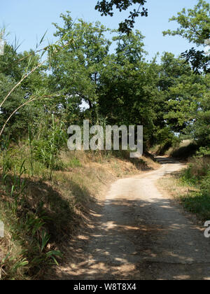 Schmalen Feldweg durch die Weinberge im Süden Frankreichs Stockfoto