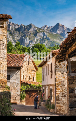 Dorf von Mogrovejo an Liebana Tal vor andara Berge, den Berg Macizo Zentrale (den Berg Macizo Los Urrieles) an Picos de Europa, Kantabrien, Spanien Stockfoto