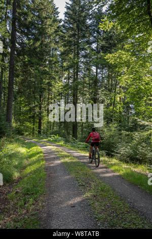 Schöne und immer junge Seniorin mit ihrem elektrischen Mountainbike-Rad am Trinkwasserhochbecken Kinzig im Nordschwarzwald, Baden-Württemberg Stockfoto