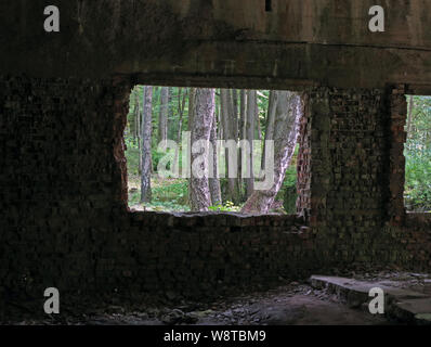 Bunker Überreste der ehemaligen Führer Hauptquartier "wolfsschanze" in den polnischen Masuren (ehemalige Schlesien) - ehemalige Stenographienstbaracke, auf 15.07.2019 | Verwendung weltweit aufgezeichnet Stockfoto