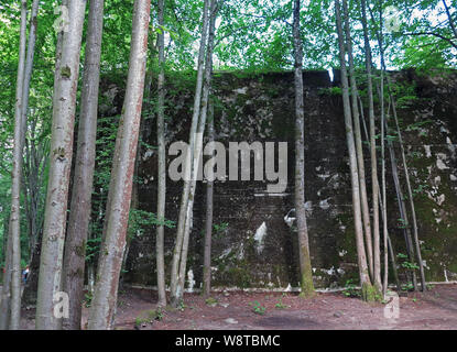 Bunker Überreste der ehemaligen Führer Hauptquartier "wolfsschanze" in den polnischen Masuren (ehemals Ostpreußen), aufgezeichnet am 15.07.2019 | Verwendung weltweit Stockfoto