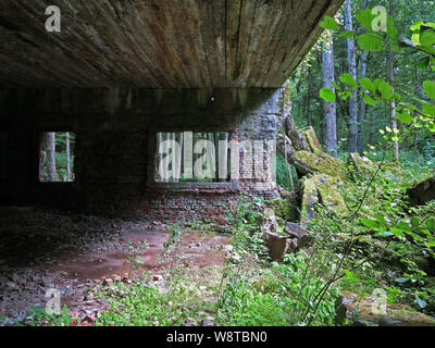 Bunker Überreste der ehemaligen Führer Hauptquartier "wolfsschanze" in den polnischen Masuren (ehemalige Schlesien) - ehemalige Stenographienstbaracke, auf 15.07.2019 | Verwendung weltweit aufgezeichnet Stockfoto