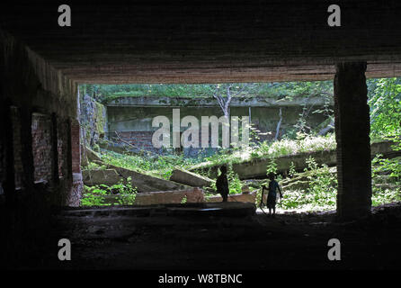 Bunker Überreste der ehemaligen Führer Hauptquartier "wolfsschanze" in den polnischen Masuren (ehemalige Schlesien) - ehemalige Stenographienstbaracke, auf 15.07.2019 | Verwendung weltweit aufgezeichnet Stockfoto