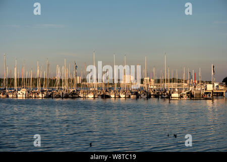 Marina in Kiel während der Kieler Woche Stockfoto