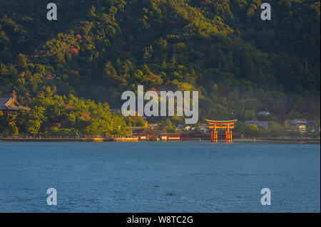 Iconic vermilion Torii Tor in der Bucht der Insel Miyajima in warmen Abend Seite Licht eingefangen zeigt reiche und detaillierte Textur, Japan, November 2018 Stockfoto