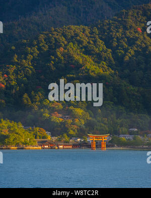 Iconic vermilion Torii Tor in der Bucht der Insel Miyajima in warmen Abend Seite Licht eingefangen zeigt reiche und detaillierte Textur, Japan, November 2018 Stockfoto