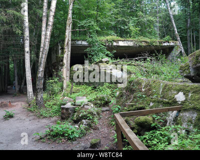 Bunker Überreste der ehemaligen Führer Hauptquartier "wolfsschanze" in den polnischen Masuren (ehemals Ostpreußen), aufgezeichnet am 15.07.2019 | Verwendung weltweit Stockfoto