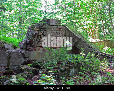 Bunker Überreste der ehemaligen Führer Hauptquartier "wolfsschanze" in den polnischen Masuren (ehemals Ostpreußen), aufgezeichnet am 15.07.2019 | Verwendung weltweit Stockfoto