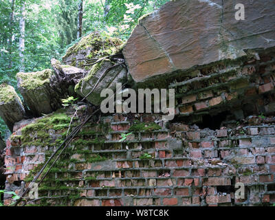 Bunker Überreste der ehemaligen Führer Hauptquartier "wolfsschanze" in den polnischen Masuren (ehemals Ostpreußen), aufgezeichnet am 15.07.2019 | Verwendung weltweit Stockfoto