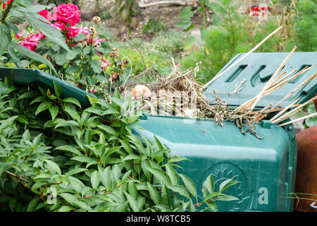 Kunststoff Komposter mit organischen Überreste aus dem Garten gefüllt Stockfoto