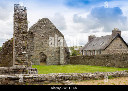 Die Ruinen der St. Dogmaels Abtei aus dem 12. Jahrhundert, in der Nähe von Cardigan, Pembrokeshire, Wales, Großbritannien Stockfoto