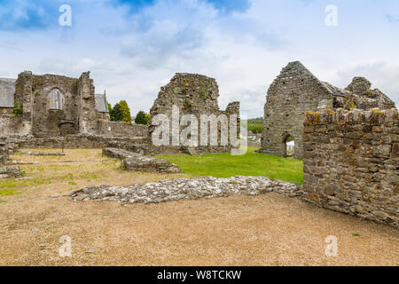 Die Ruinen der St. Dogmaels Abtei aus dem 12. Jahrhundert, in der Nähe von Cardigan, Pembrokeshire, Wales, Großbritannien Stockfoto