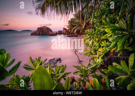 Schönen romantischen Sonnenuntergang Sonnenuntergang Red Sky auf den Seychellen Paradise Island. Granitfelsen, Palmen und weißem Sand Strand Stockfoto