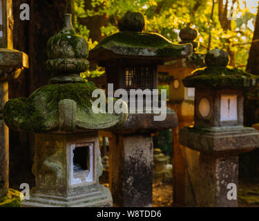 Traditionelle Stein Laterne mit Moos in der warmen Abendsonne abgedeckt sind ikonisch Symbole der Naras Kasuga Taisha Shrine, Japan, November 2018 Stockfoto