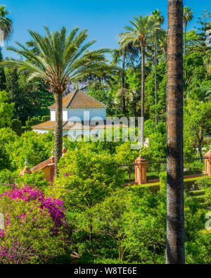 Der idyllische Garten in der Königlichen Alcázars von Sevilla, Andalusien, Spanien. Stockfoto