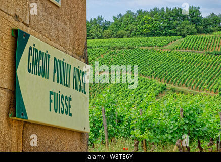 "Stromkreis Pouilly Fuissé' Zeichen und Reben in Fuissé, in der Nähe von Macon, Burgund, Frankreich. Stockfoto