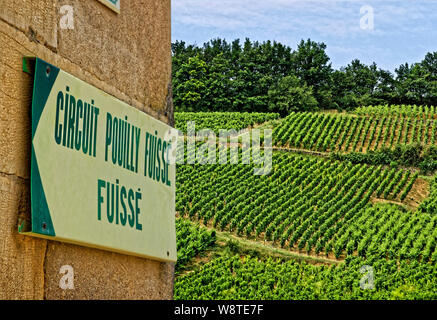 "Stromkreis Pouilly Fuissé' Zeichen und Reben in Fuissé, in der Nähe von Macon, Burgund, Frankreich. Stockfoto