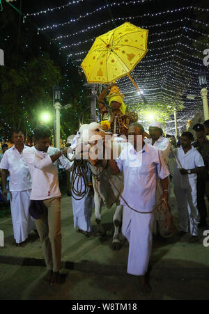 Colombo, Sri Lanka. 11 Aug, 2019. Der Chief legen Hüter des Tempels reitet auf dem Rücken eines Stieres halten Relikt Sarg während der jährlichen "gonpita Perahera', oder die Prozession am Nawagamuwa Pattini Devalaya Tempel für die Göttin Paththini Kaduwela, 39 km von Colombo, Sri Lanka, 11. August 2019. Credit: Pradeep Dambarage/ZUMA Draht/Alamy leben Nachrichten Stockfoto