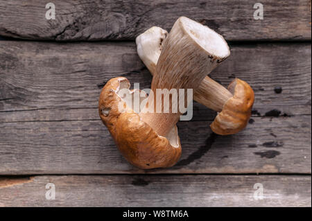 Wald Pilze auf einem rustikalen Holzmöbeln Hintergrund. Close-up. Ansicht von oben. Platz kopieren Stockfoto