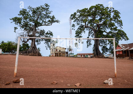 Twin Baumwolle Bäume in Wilberforce, Freetown, Sierra Leone im Jahr 2014 Stockfoto