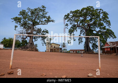 Twin Baumwolle Bäume in Wilberforce, Freetown, Sierra Leone im Jahr 2014 Stockfoto