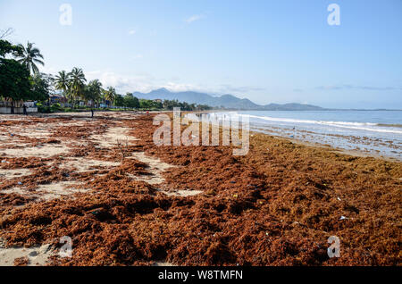 Fußballer am Lumley Beach in Freetown, Sierra Leone während der Regenzeit im Jahr 2014 Stockfoto