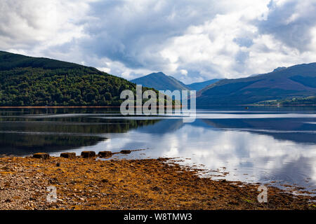 Loch Fyne, Argyll & Bute, Westschottland, Inveraray, mit Bergen und Himmel im Wasser spiegelt. Ascophyllum nodosum an der Küste Stockfoto