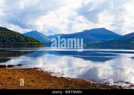 Loch Fyne, Argyll & Bute, Westschottland, Inveraray, mit Bergen und Himmel im Wasser spiegelt. Ascophyllum nodosum an der Küste Stockfoto