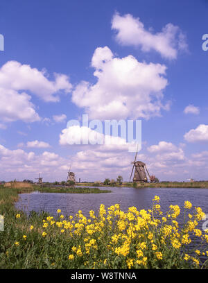 Die alten Windmühlen von Kinderdijk, Kinderdijk, Südholland (Zuid-Holland), Königreich der Niederlande Stockfoto