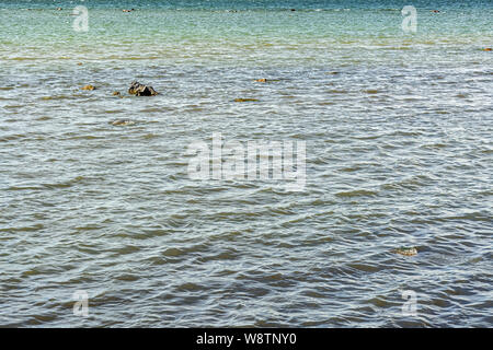 Wasser Oberfläche des Meeres Bucht mit verschiedenen Schattierungen von Blau, mit kleinen Wellen bedeckt. Stockfoto