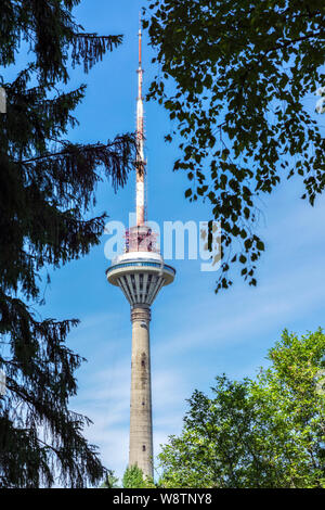 Der obere Teil des Tallinner Fernsehturm gegen den blauen Himmel von grünen Zweigen gerahmt. Stockfoto
