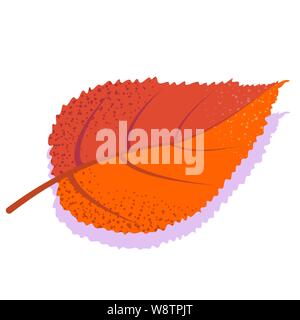 Orange Vektor elm Blatt mit Schatten, auf weißem Hintergrund. Single Herbst Blatt. Stock Vektor