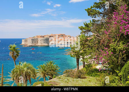 Panoramablick von der Blume Garten Terrasse in der Altstadt von Dubrovnik, Kroatien Stockfoto