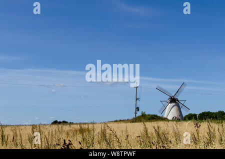 Seidla Manor Windmühle, eine holländische Windmühle in Albu, Estland Stockfoto