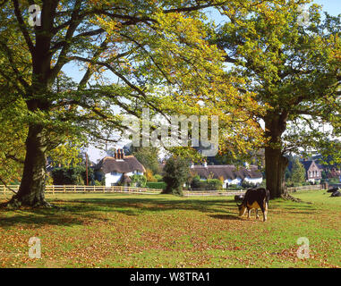 Reetgedeckte Cottages am Swan Green, New Forest National Park, Hampshire, England, Vereinigtes Königreich Stockfoto