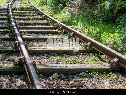 Überwucherte stillgelegten Eisenbahnstrecken in East Lothian, Schottland, Großbritannien. Stockfoto