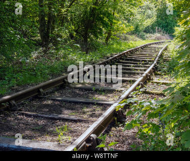 Überwucherte stillgelegten Eisenbahnstrecken in East Lothian, Schottland, Großbritannien. Stockfoto