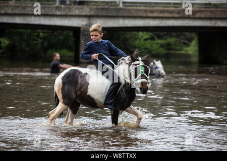 Romani Gypsy Reisende treffen sich für eine jährliche zusammen im New Forest. Reisen Gemeinschaft Warenkorb Racers in New Milton, Hampshire, England, Großbritannien Stockfoto