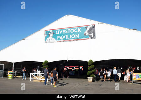 COSTA MESA, Kalifornien - Aug 8, 2019: Vieh Pavillon auf der Orange County Fair. Stockfoto