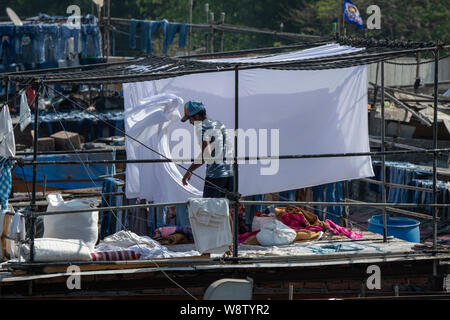 Indien, Bundesstaat Maharashtra, Hauptstadt von Mumbai aka Bombay. Dhobi Ghat open air Wäscheservice. Stockfoto