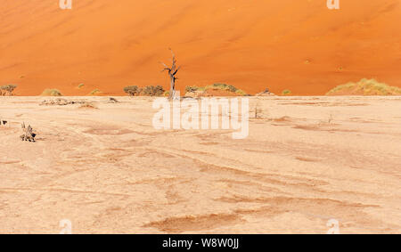 Tote Bäume gegen gegen den roten Hintergrund der turmhohen Sanddünen Namibias Deadvlei Stockfoto