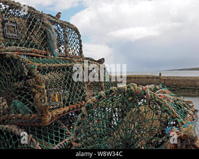Haus Spatzen barsch auf den Fischern Krabben und Hummer Töpfe neben der Hafenmauer von St Andrews, im East Neuk, Pfeife auf der Ostküste von Schottland, Großbritannien Stockfoto