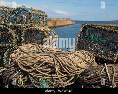 Der fischer Seile und Krabben/hummer Töpfe neben dem Hafen Wand der East Neuk Fischerdorf Pittenweem, Fife, an der Ostküste von Schottland, Großbritannien Stockfoto