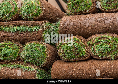 Nahaufnahme der Teppich gras Teppichen auf Lkw mit grün und braun Muster in Colorado Stockfoto