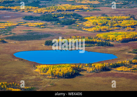 Antenne herbst Blick südlich von Fort McMurray in Alberta. Stockfoto